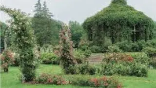 rose Garden Elizabeth park ct