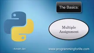 Python Tutorial for Beginners   From the basics to advanced topics   YouTube