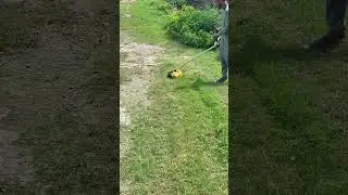 🌿 Cutting Grass with Machine | Lawn Care #satisfying #lawnmowingbusiness  #gardeningadvice