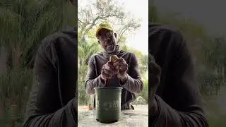 Growing Sweet Success: A Guide on How to Plant a Mango Seed