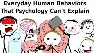 Everyday Human Behaviors That Psychology Can't Explain | SILENT SIGNALS