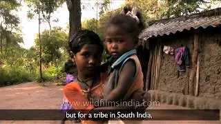 Tree house dwellers of India