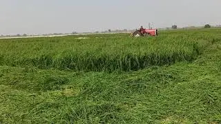 Road grass cutting Dex moor machine