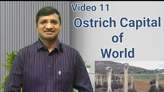 Ostrich Capital of the World