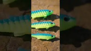 Baby Rippler in neuen Gr&ouml;&szlig;en