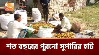 শত বছরের পুরনো কুষ্টিয়ার সুপারির হাট | Mohona TV