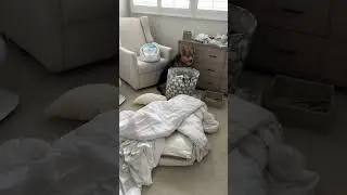 You’ll never guess where I found my dog 😳