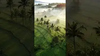 📍Sidemen-Bali #sidemen #bali #youtubeshorts #nature #travelshorts #travel #touristattraction