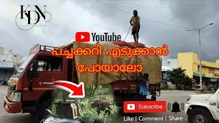 മൈസൂർ RMC