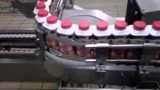 Al safi danone