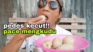 5 HABIS.!!!  MAKAN BUAH MENGKUDU MANTUL ||cak inur
