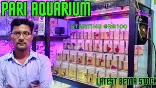Pari Aquarium Fighter fish || Betta fish care, Tankmates, Tank size, Heater, Filter , Kurla market