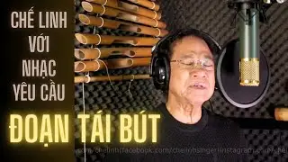 Chế Linh với Nhạc Yêu Cầu | ĐOẠN TÁI BÚT