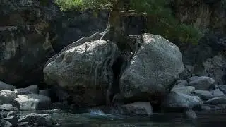 Roots Go Deep – Grunge Rock Anthem | Matthew 13:20-21