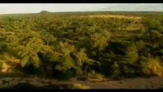 Trans Africa Safaris (Part 1)