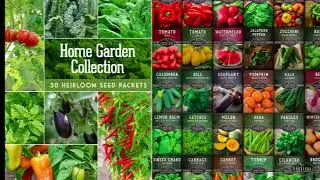 Home Garden Heirloom Seed Collection - 30 Varieties