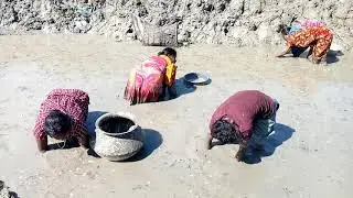 WOMEN MUD WATER HAND FISHING  BANGLADESHI WOMEN FISHING IN THE VILLAGE