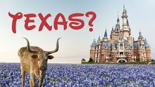 Disney Needs Texas.