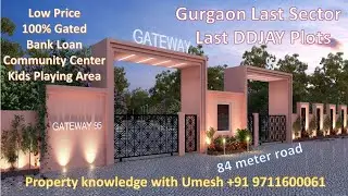 Last Sector Last DDJAY Plots, Best Project With best Price, Gurgaon