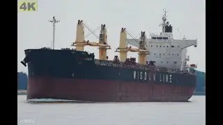 AMIS KALON - Shipspotting Germany 🇩🇪 IMO 9520807 - River Weser near City Oberhammelwarden - 4K VIDEO