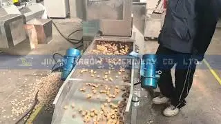 Fully Automatic Twin Screw Extruder for Granular Breadcrumbs Yellow Breadcrumb Production Machine