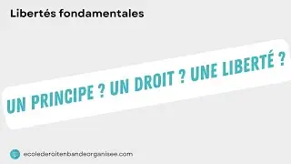 Libert&eacute;s fondamentales