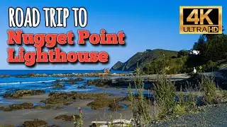Nugget Point Lighthouse 4K | Otago New Zealand | October 2022
