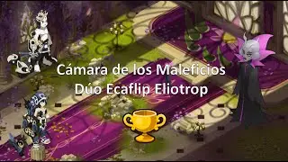 [DOFUS] Cámara de los Maleficios | Dúo Ecaflip Eliotrop