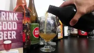 aslin - mind the hop