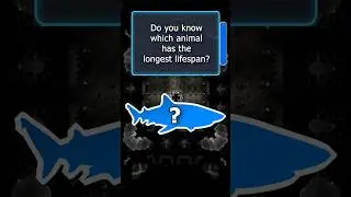 Which animal has the longest lifespan on Earth? ⏳ #youtubeshorts #facts #explore
