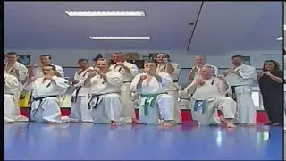 SHIHAN ROEL WILDEBOER KATA SEMINAR.mp4