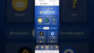 daily combo 04.08.2024 Time Farm, Pixeltap, Tapcoins, Baboon, Bird ton, GoldVerseBot