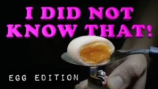 I Did Not Know That: EGG EDITION | Bernet Tregaskis