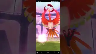 Dynamax Ho-Oh Solo 🍄 (No Weather Boost, 4 Helpers, Eternatus Adventure Effect)