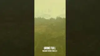 Why Do They Make Peeing Mechanics in VIdeo Games?