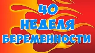Беременность и роды. 40 неделя беременности. 39 неделя беременности. Беременность 39.