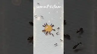 black ants drinking #youtube #shorts #monetization 08658
