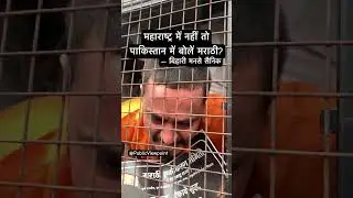 Bihari Man at Mira Road MNS Marathi Morcha protest | Raj Thackeray Mumbai Maharashtra #viralshorts