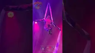 Various circus Artists on the Aerial Silks from my many trips to the shows in the 2025 Circus Season
