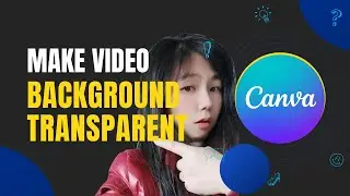How to Make a Video Background Transparent in Canva - Easy Guide
