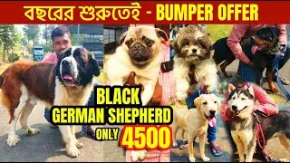dog market in kolkata | pet market in kolkata | kolkata dog market | Dog Puppy Price Update