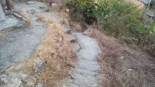 कोटद्वार से पलीगांव तक का सफर 