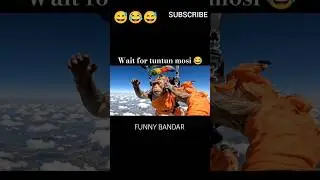 monkey vlog 😱#shorts #monkeyvlog #funny#monkey