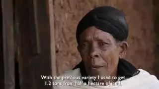 Agibusiness Market Development in Ethiopia