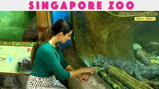 4K| Singapore Zoo Experience | Tickets, Timings, Shows & Animals | Mandai Wildlife  #gaurinigudkar