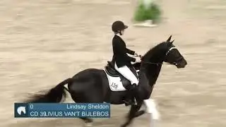 Livius Van't Bijlebos 2019 ($12,500 NAL Children's Jumper)