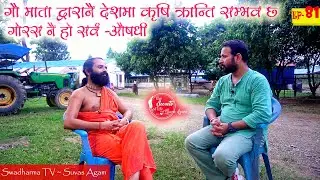 गौ माता द्वारानै देशमा कृषि क्रान्ति सम्भव छ । गोरस नै हो सर्व-औषधी Ep 81 Yogi Somraj | Swadharma TV