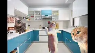 Crazy cats in the kitchen | Cat memes | cat dance #trending #ohCraZy #lampyfan
