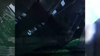horse meme
