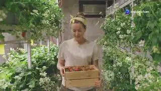 Boost Your Strawberry Yield with Hydropo